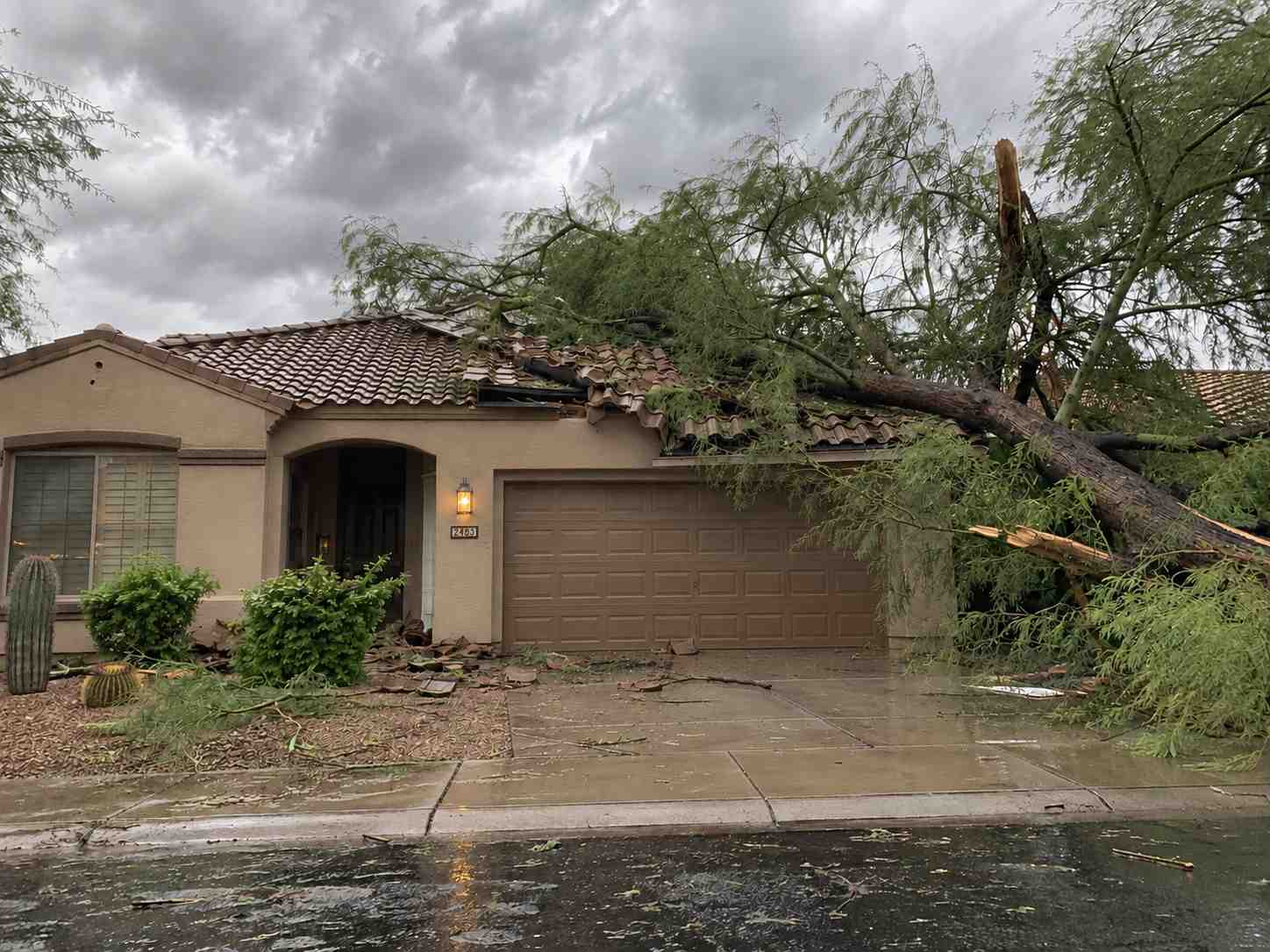Fallen tree across the tile roof of a home after a storm